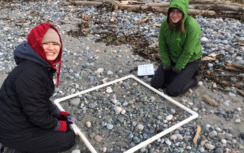 two COASST interns look for small debris on the beach